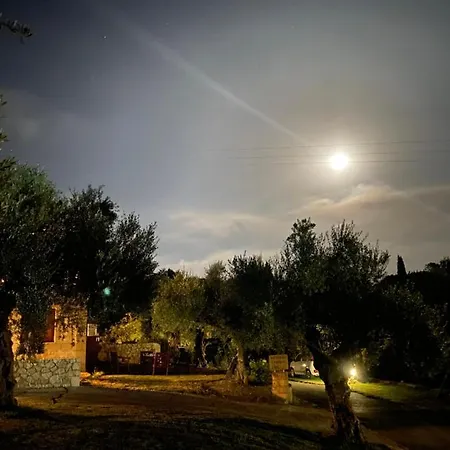 Panos *