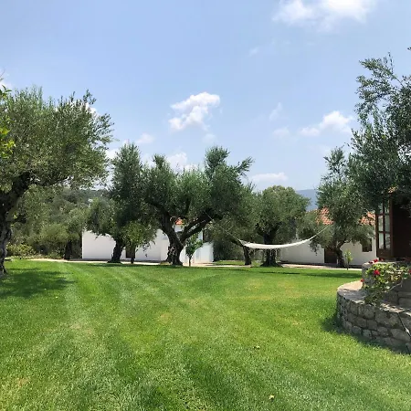 Appartement Panos *